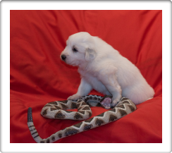 Capture One Session0349